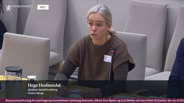 Hege Hodnesdal fra Finans Norge deltok i høringen om mer frihet til å jobbe der du vil. Foto: Skjermbilde fra Stortingets nett-tv.