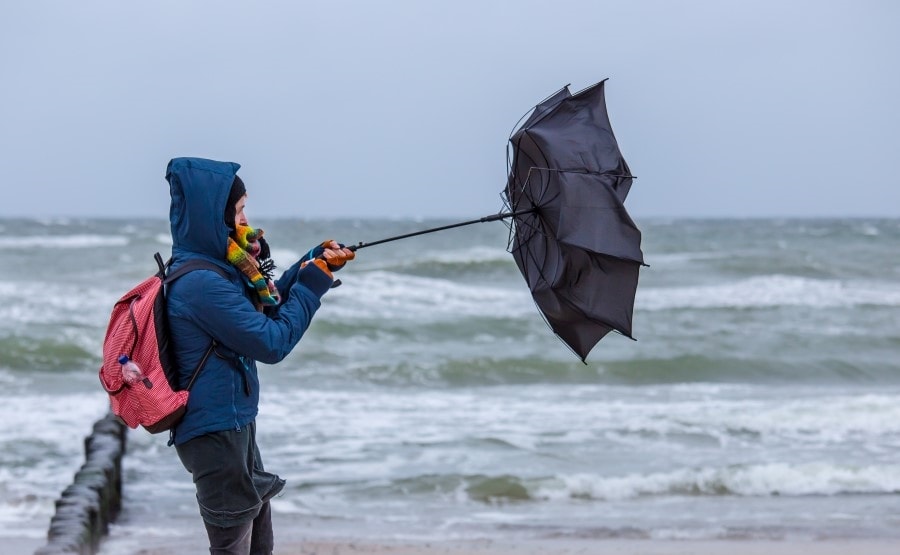 Foto: Rainer Furhmann, Adobe Stock