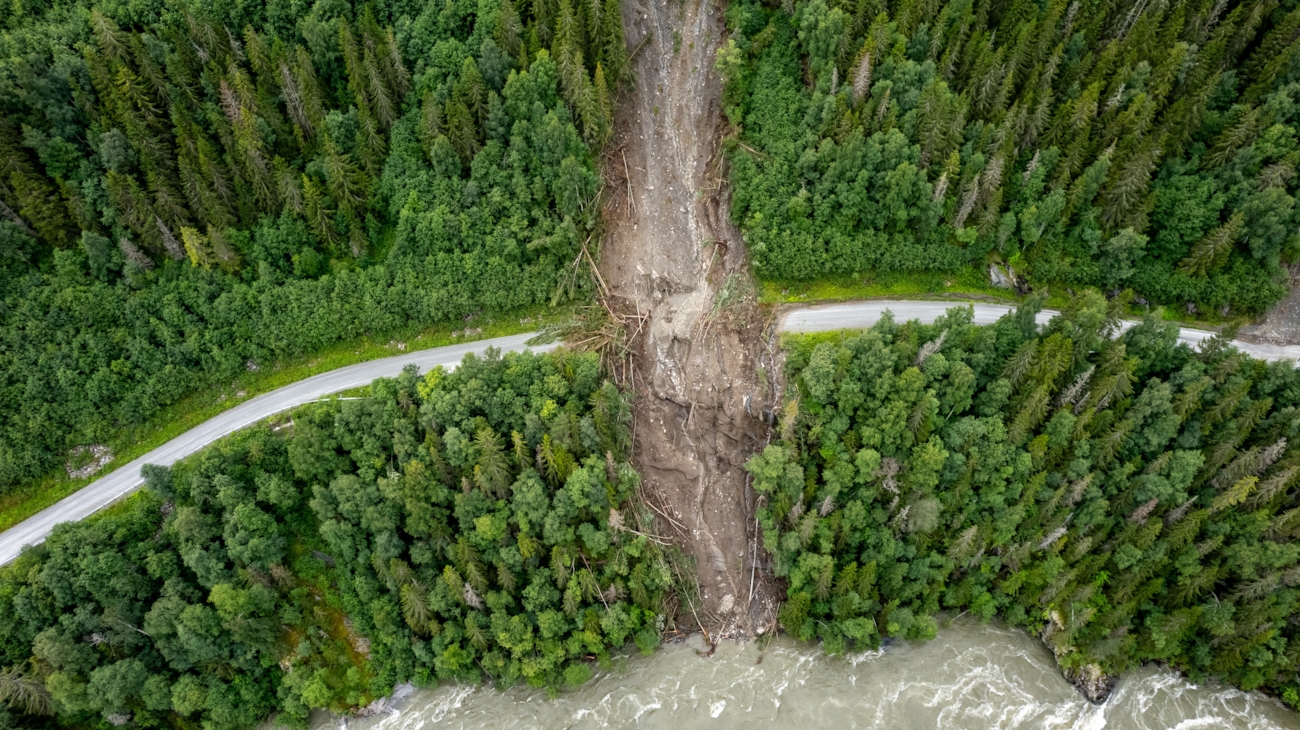 Et jordskred velter seg nedover granskog og over en skogsvei.
