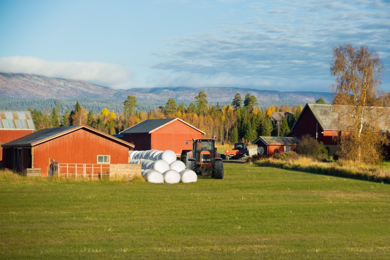 Gårdsbruk. Foto.